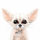 ����� (fennec fox) - �������. �� ������� ���� ������ =)�