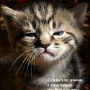 ���� �����, ������, 29 ��� - ��������� 4 ������ 2010 � ������ �������