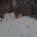 ���� ������, ������, 58 ��� - ��������� 4 ������ 2011 � ������ �����,��� � �.�.�