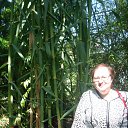 ���� ����, �����-���������, 60 ��� - ��������� 3 ������� 2010 � ������ ���� ����������