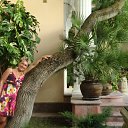 ���� �������, ��������, 55 ��� - ��������� 15 ���� 2012 � ������ ���,����!�