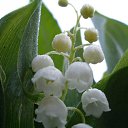 ���� ��������, ���������, 64 ���� - ��������� 16 ������ 2012 � ������ �������