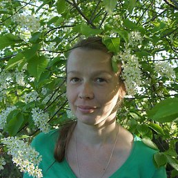 ���� ��������, ��������, 50 ��� - ��������� 22 ������� 2012