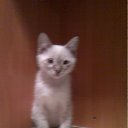 ���� �����, ��������, 47 ��� - ��������� 22 ��� 2012