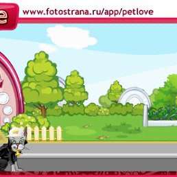 ���� ����, �����-���������, 66 ��� - ��������� 16 ������� 2010