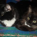 ���� �����, ������-��-����, 51 ��� - ��������� 26 ����� 2011 � ������ ���� ��������