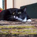 ���� ����� - ���������� ��������!!!, �����������, 56 ��� - ��������� 13 ������� 2009 � ������ ��������� ����һ