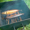 ���� ��� ��, ����, 60 ��� - ��������� 21 ���� 2013