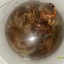 ���� ������, ��������, 36 ��� - ��������� 29 ������� 2012 � ������ ���� ����������