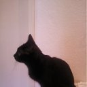 ���� Natalya, ��������, 56 ��� - ��������� 11 ������� 2011 � ������ ����� ����, ���� � &amp;�