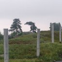 ���� ��������, ������, 46 ��� - ��������� 17 ����� 2012 � ������ ���� ����������