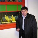 ���� ����, �����, 48 ��� - ��������� 8 ���� 2013 � ������ ���� ����������