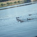 ���� ������, ����� - ��������� 15 ������� 2010 � ������ �������