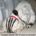 ���� Ը���, ������, 43 ���� - ��������� 30 ������ 2011 � ������ ���� ����������