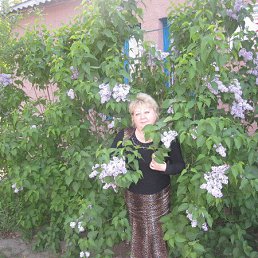 ������, �����, 61 ���