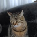 ���� �����, �����, 42 ���� - ��������� 23 ������� 2011 � ������ �������