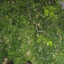 ,    ... ,    !      - 2013