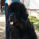 ���� ����, ���������, 49 ��� - ��������� 7 ���� 2013 � ������ ����� ��� ������������