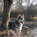 ���� ����, �����������, 44 ���� - ��������� 8 ��� 2012 � ������ ���� ����������