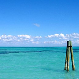 ��������, ������������, 33 ����