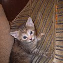 ���� �����, ������������, 50 ��� - ��������� 5 ������ 2010 � ������ �����