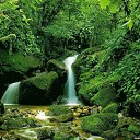 ���� ������, ���-����, 28 ��� - ��������� 15 ������� 2009 � ������ �������