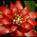 ���� ������, ���-����, 27 ��� - ��������� 17 ������� 2009 � ������ �����������