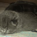 ���� ����_����� ������ ���� ���-��..., �������� - ��������� 2 ������� 2013 � ������ ���������� 02.08�