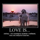 ���� �����, ������������ - ��������� 17 ���� 2010 � ������ ��������