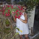 � ������ �� ������� ���� ����������
