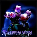 ���� ������, �����, 48 ��� - ��������� 22 ������� 2009 � ������ �������