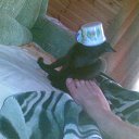 ���� ������, ���������, 45 ��� - ��������� 5 �������� 2012 � ������ �������