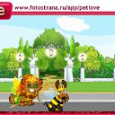  , , 24  -  11  2010   PetLove