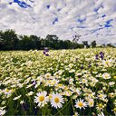 ���� ����� �., �����������, 42 ���� - ��������� 1 ������� 2010 � ������ ����������� ))�