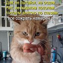 ���� ��������, ���� - ��������� 2 ������ 2013 � ������ ���� ����������