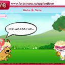  , , 44  -  11  2010   PetLove