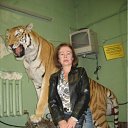  , -, 70  -  11  2012    