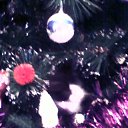 ���� �����, �������, 45 ��� - ��������� 15 ������ 2012 � ������ ���� ����