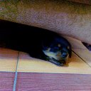 ��������� ���������)) �� ������� ���� ����������