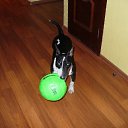 ���� �����, ���������, 43 ���� - ��������� 2 ������ 2011