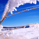 ���� ����, ���� - ��������� 11 ������ 2011 � ������ �Happy New Year & Merry Christmas�
