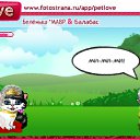 ���� ������, ������� - ��������� 23 �������� 2010 � ������ �PetLove�