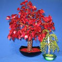 ���� ����, �����������, 63 ���� - ��������� 18 ������ 2010 � ������ ���� ���������