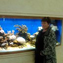 ���� �����, ������, 53 ���� - ��������� 4 ������ 2012 � ������ ���� ����������