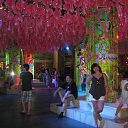 ���� �����, ���������, 54 ���� - ��������� 22 ������ 2012 � ������ ������ ������