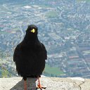 ���� �����, �����, 53 ���� - ��������� 2 ������� 2012 � ������ ��������)))�