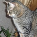 ���� &deg;&bull;*������&deg;&bull;*, ����������, 23 ���� - ��������� 16 ������� 2010 � ������ ���� ��� �����!�