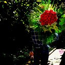 ���� Kamran, ���� - ��������� 29 ��� 2013 � ������ ���� ����������