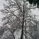 ���� ������, �����, 61 ��� - ��������� 29 ������ 2013 � ������ ���������� ������