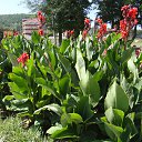 ���� �������, ������, 50 ��� - ��������� 5 ������� 2013 � ������ ���� ����������